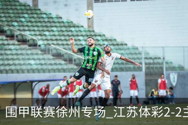 围甲联赛徐州专场 江苏体彩2-2主将负重庆坎济